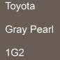 Preview: Toyota, Gray Pearl, 1G2.